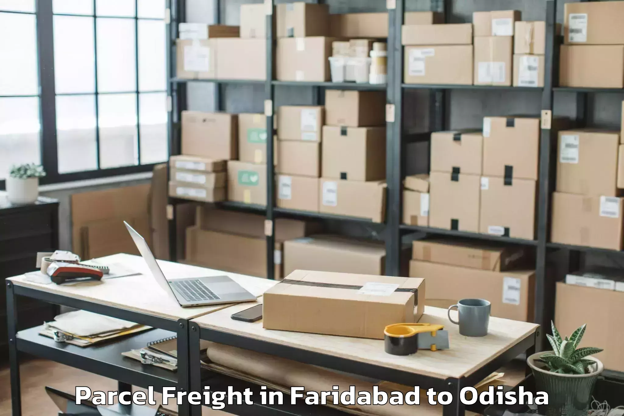 Book Faridabad to Tarbha Parcel Freight Online